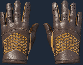 Extraordinary Gloves 2421083918